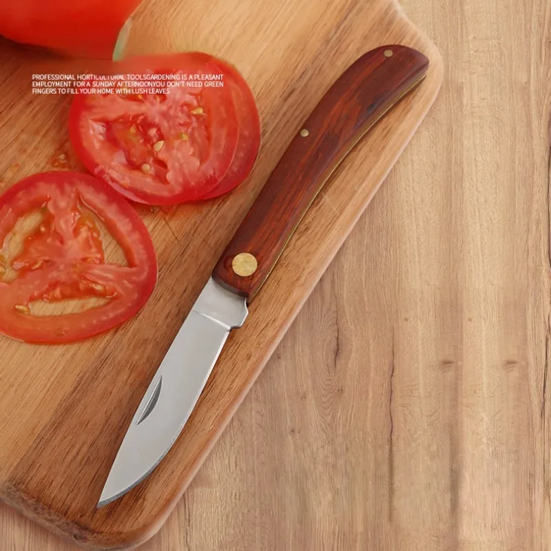 Mini Folding EDC Pocket Knife Stainless Steel Fruit Paring BBQ Hand Meat Knife Portable Cleaver Kitchen Chef House Cutlery