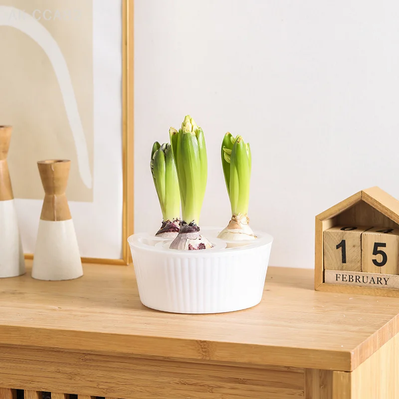 Hyacinth Tulip Seed Hydroponic Flowerpot 3/5Holes Pots For Plants Soilless Plant Pot Lazy Hydroponic Flower Pot Home Decoration 4