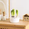 Hyacinth Tulip Seed Hydroponic Flowerpot 3/5Holes Pots For Plants Soilless Plant Pot Lazy Hydroponic Flower Pot Home Decoration 4
