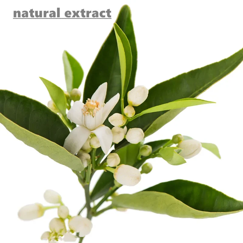 Neroli Essential Oil Pure Organic Neroli Floral Aromatherapy Diffuser Oils for aroma stone diffuser car air fresher calming 10ml