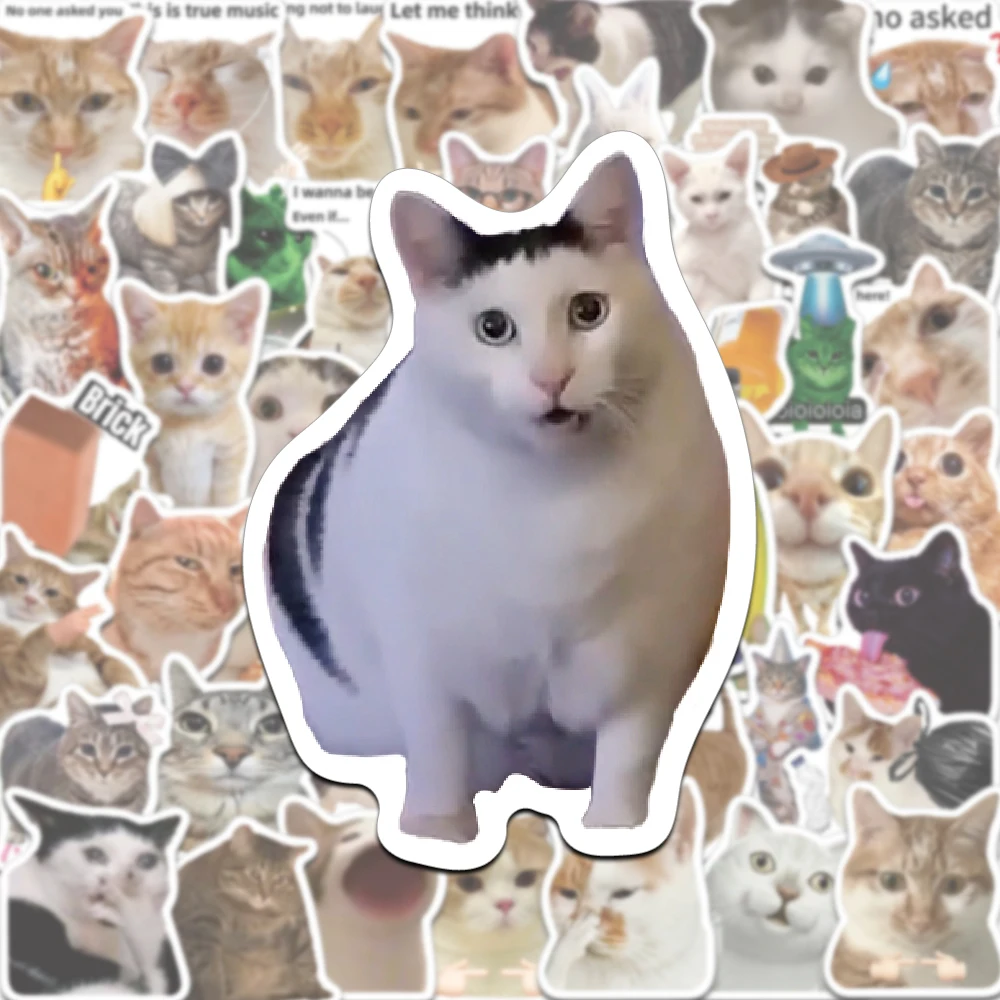 50PCS 재미 재미 있은 인기있는 고양이 스티커 MEME 크리 에이 티브 방수 PVC 장식 물 컵 노트북 전화 케이스 DIY 데칼
