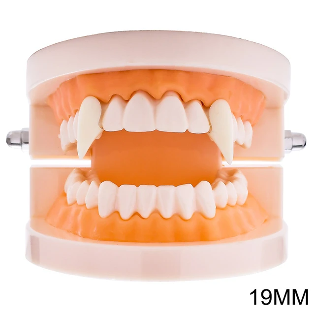 Diy halloween traje adereços dentes de vampiro presas um par de dentaduras  resina adesivo cola sólida dentes falsos decoração festa suprimentos -  AliExpress