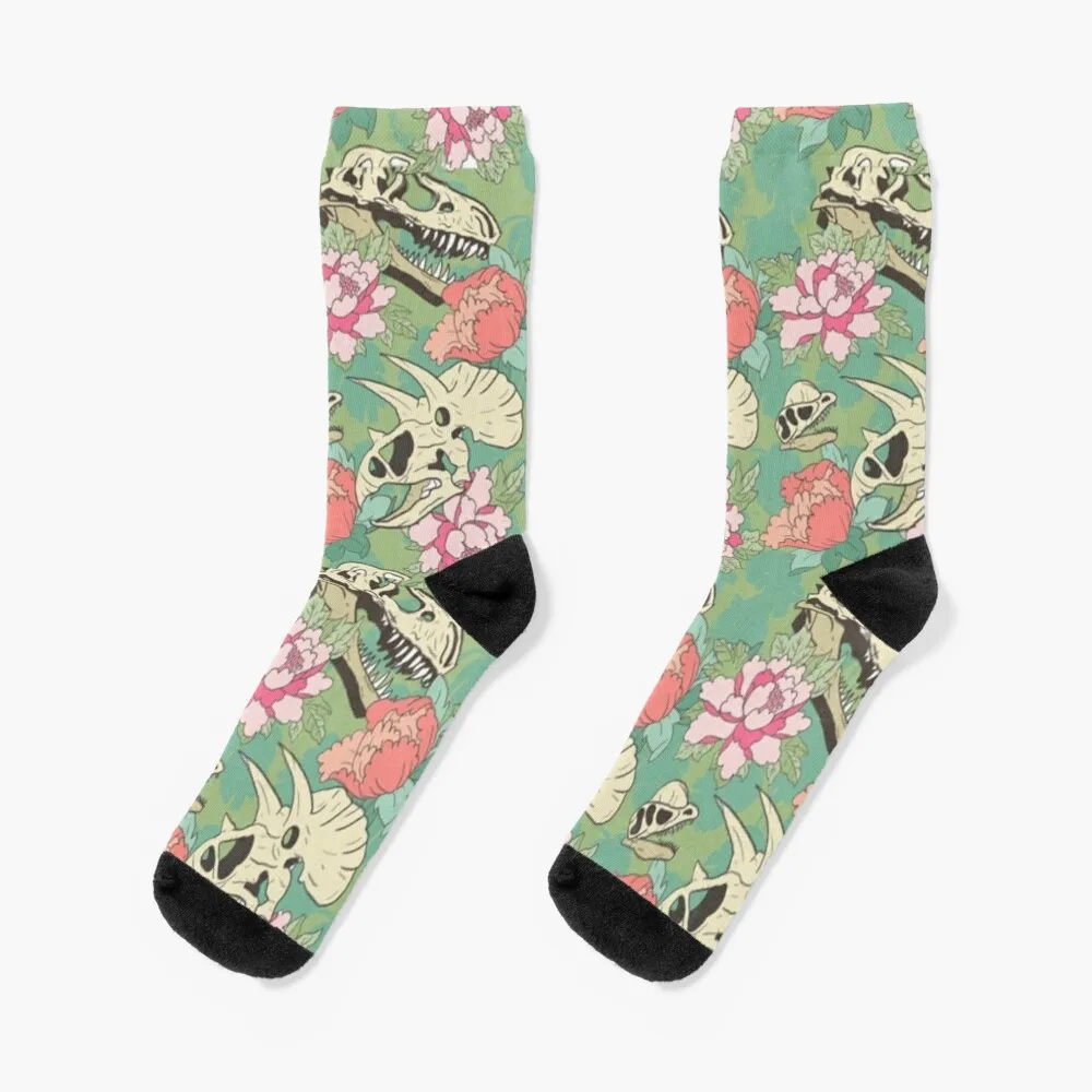 dinosaur florals Socks snow shoes compression Socks Girl Men's
