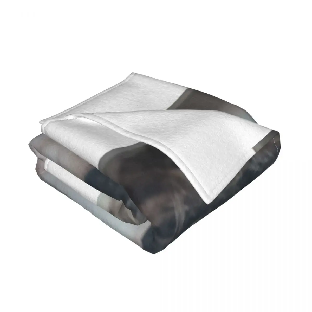 �������� ħ���� ��Ŵ�� ħ���� ����. ���� �ִϸ��̼� ������ ���, ���� �ε巯�� ���� ���