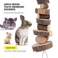 Jouet à mâcher pour petits animaux de compagnie, hamster, lapin, bâtons en bois naturel, chinchilla, cochons d'inde, escarpins, jouet de meulage des dents, fournitures pour animaux de compagnie 1
