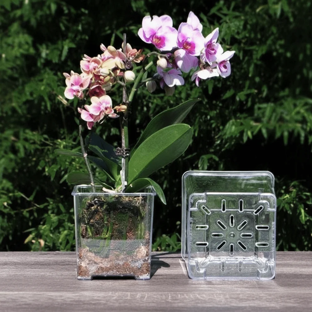 Clear Acrylic Square Planter with Drainage and Breathable Design