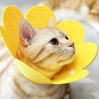 Collar protector para mascotas, cono de recuperación para el cuello del perro, antimordedura, lamer, cirugía, curación de heridas, gato, círculo médico de salud 1
