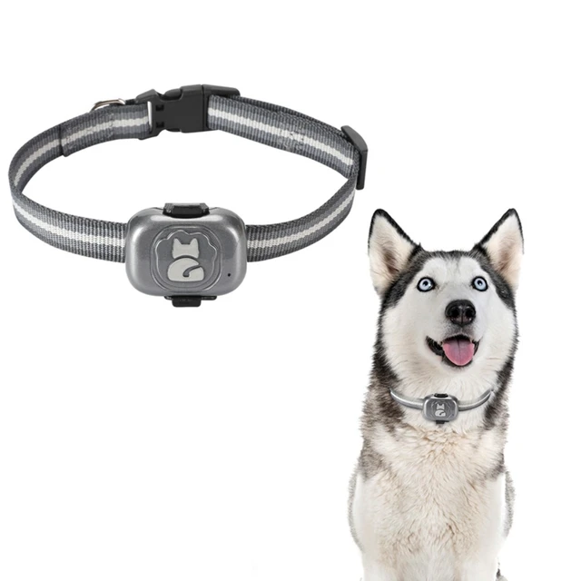 Tracker Chip For Dogs visitchile.cl