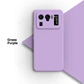 Grass Purple