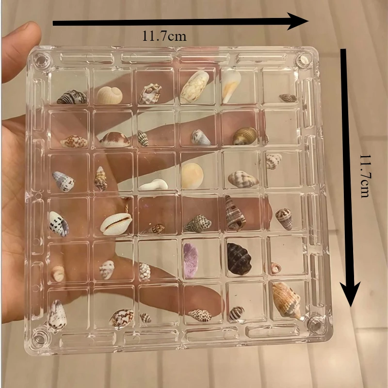 Acrylic Seashell Display Box Magnetic Closure Durable Starfish