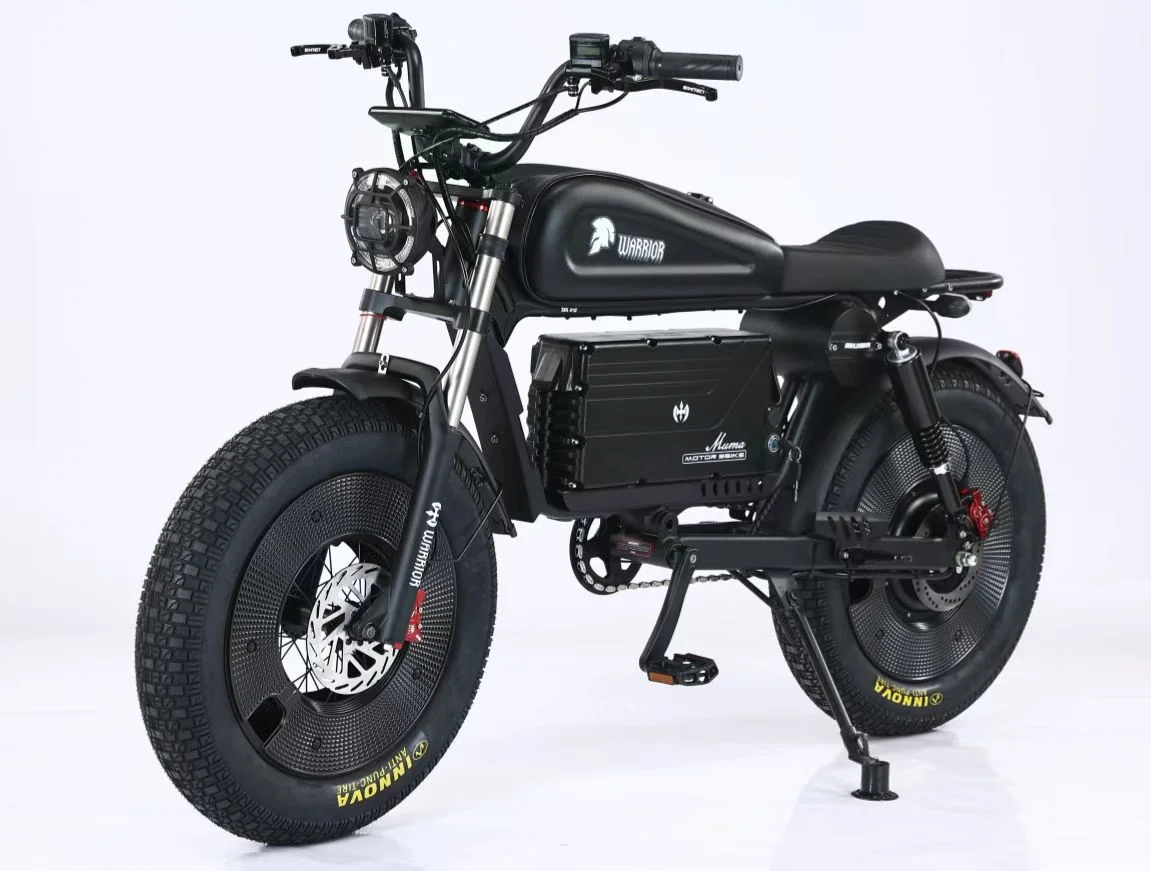 Zpw-大人用電動自転車,電動ロードバイク,1500W, 48V, 60Ah, 20