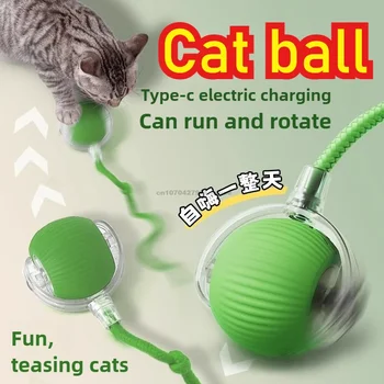 Automatic Rolling Pet Toy Ball 1
