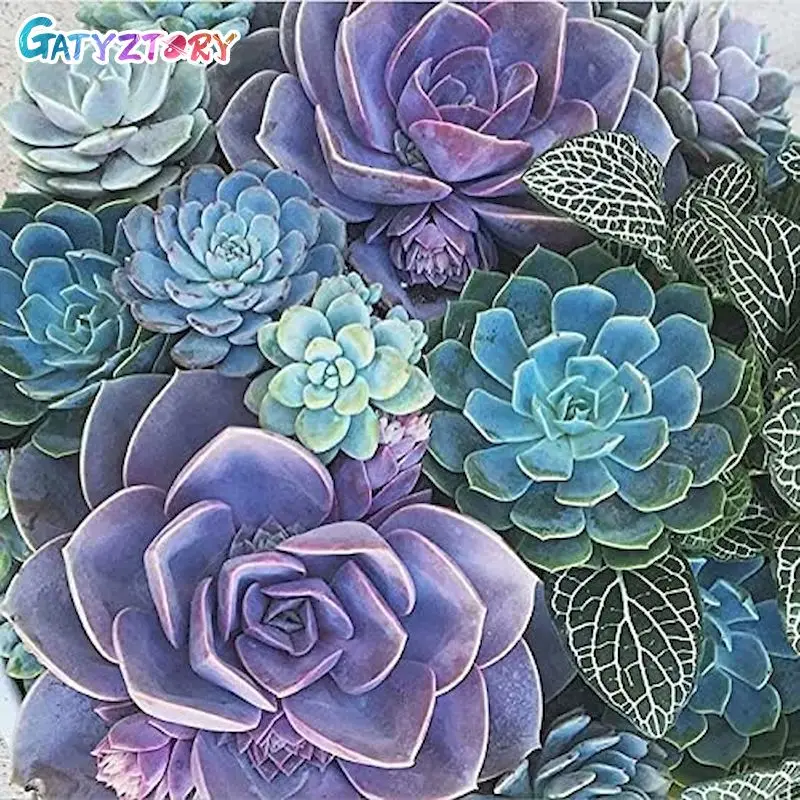 

GATYZTORY Oil Painting By Number Succulent Plants Drawing On Canvas HandPainted Art Gift DIY Coloring By Number Kits Home Decor