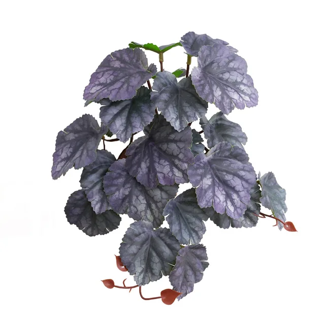 Violet Root