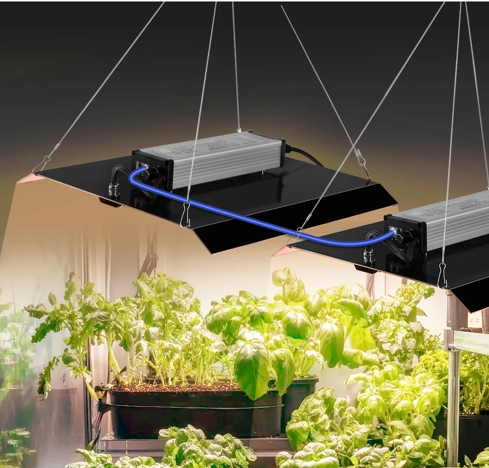 200W Vollspektrum-LED-Wachstumslicht AC100-240V SMD3030 für Gewächshauspflanzen Unabhängige rote LED-Wachstumslampe für Gemüseblumen – Detail 7