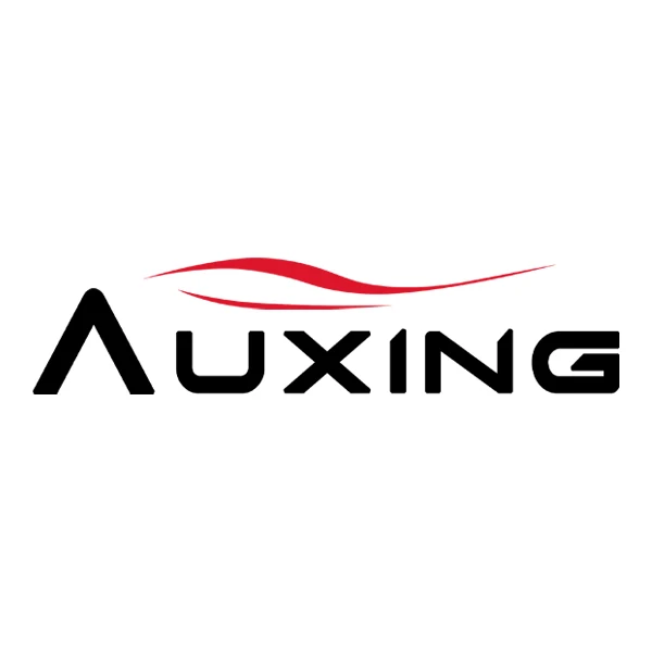 Auxing Store