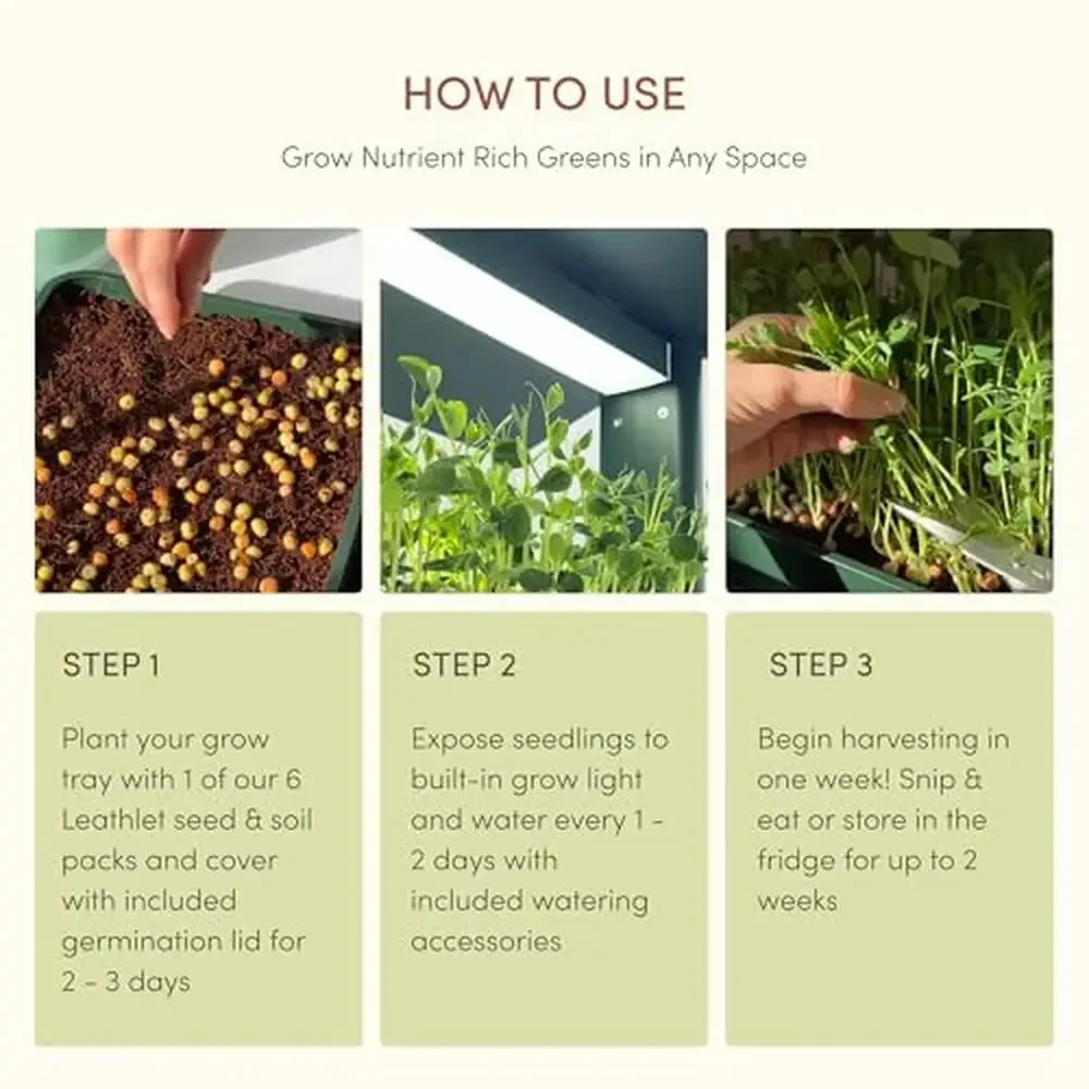 Indoor LED Herb Garden Kit 4
