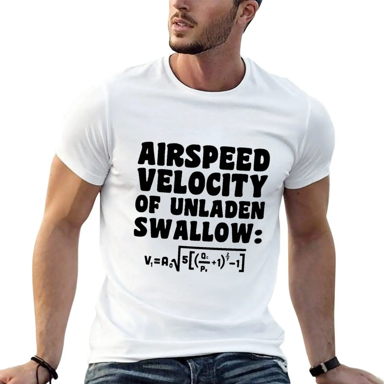 

Airspeed Velocity of Unladen Swallow T-Shirt anime sweat shirt cute tops plain Short sleeve tee men