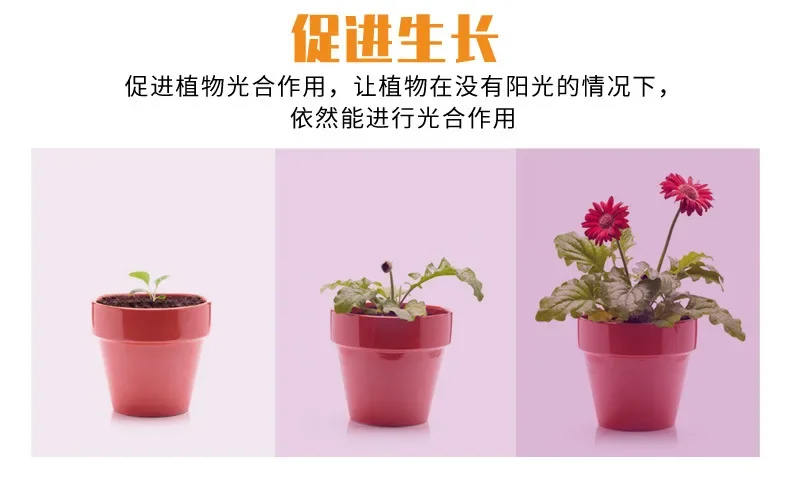 Description Picture 6 of itemIndoor Plant Grow Light EU/AU/UK/US Plug Multiple Colors Available Latest Growing Lamps Led Full Spectrum Plant Bulb Greenhouse