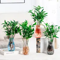 Flower Pots Transparent Vases Hydroponic Flower Vases Plastic Transparent Diamond Shaped Creative Home Decor Ornaments 1