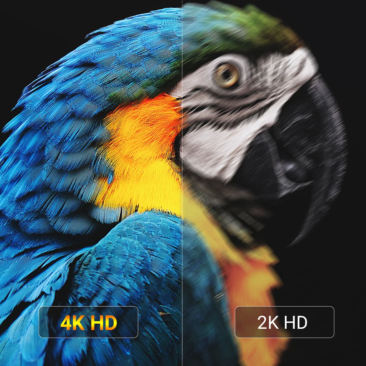 닌텐도 스위치 및 닌텐도 스위치용 TV 도킹 스테이션, HDMI1.4,USB 3.0,PD 100W USB-C 충전 포트 포함, OLED 3-in-1 스위치 독