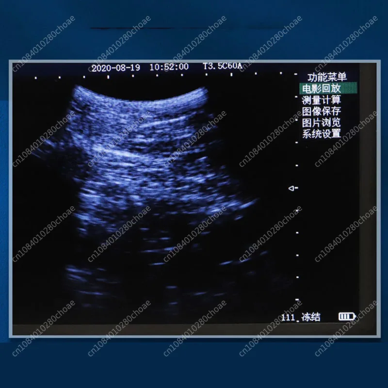 1800A Portable veterinary ultrasound scanner for animal pregnancy test, suitable