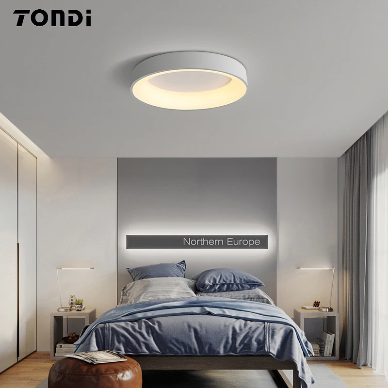 TONDI White Gray Modern LED Ceiling Lights For Living Room Bedroom