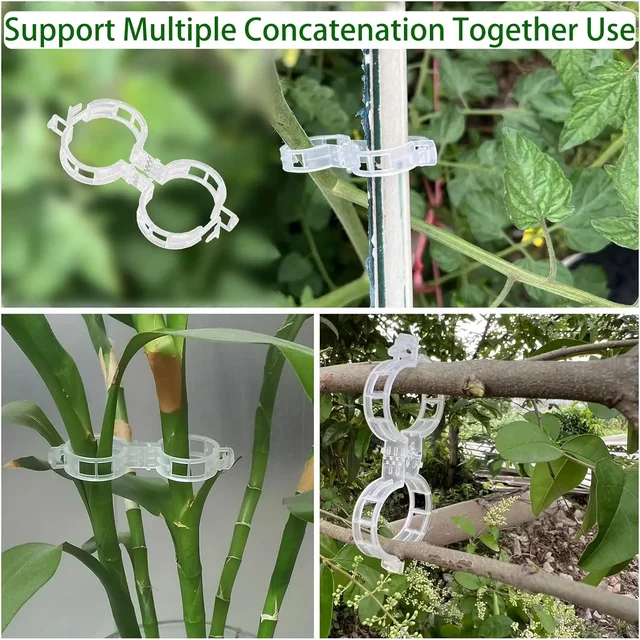 50-100pcs Plant Clips for Climbing Plants Tomato Clips for Hanging Plant Supports Plant Support Clips Hanging Plant Tool 6
