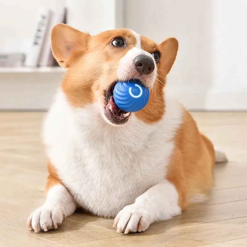 Pet Toys Dog Intelligent Gravity Jump Ball Rechargeable Bite-Resistant Rolling Ball Cat And Dog Chase Interactive