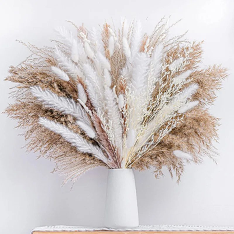 

Boho Home Decor Pampas Grass 80Pcs Natural Dried Fluffy Flowers Bouquet Set Large Reed Bunny Tail Wheat Stalk Wedding Decorative