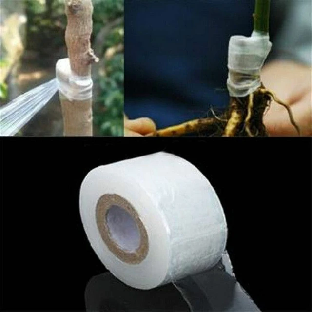 Película de cinta de injerto de PE autoadhesiva para jardín, árbol,  plantas, plántulas, vid, tomate, accesorios estirables, 2/3/4cm de ancho -  AliExpress