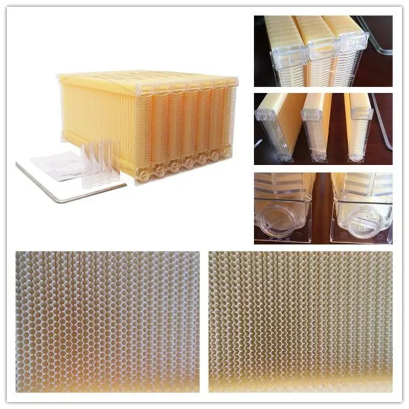 Self Flowing Hive Frames Automatic Extraction Boxes Honey Spleen Plastic Honey Hive Frames Beehives