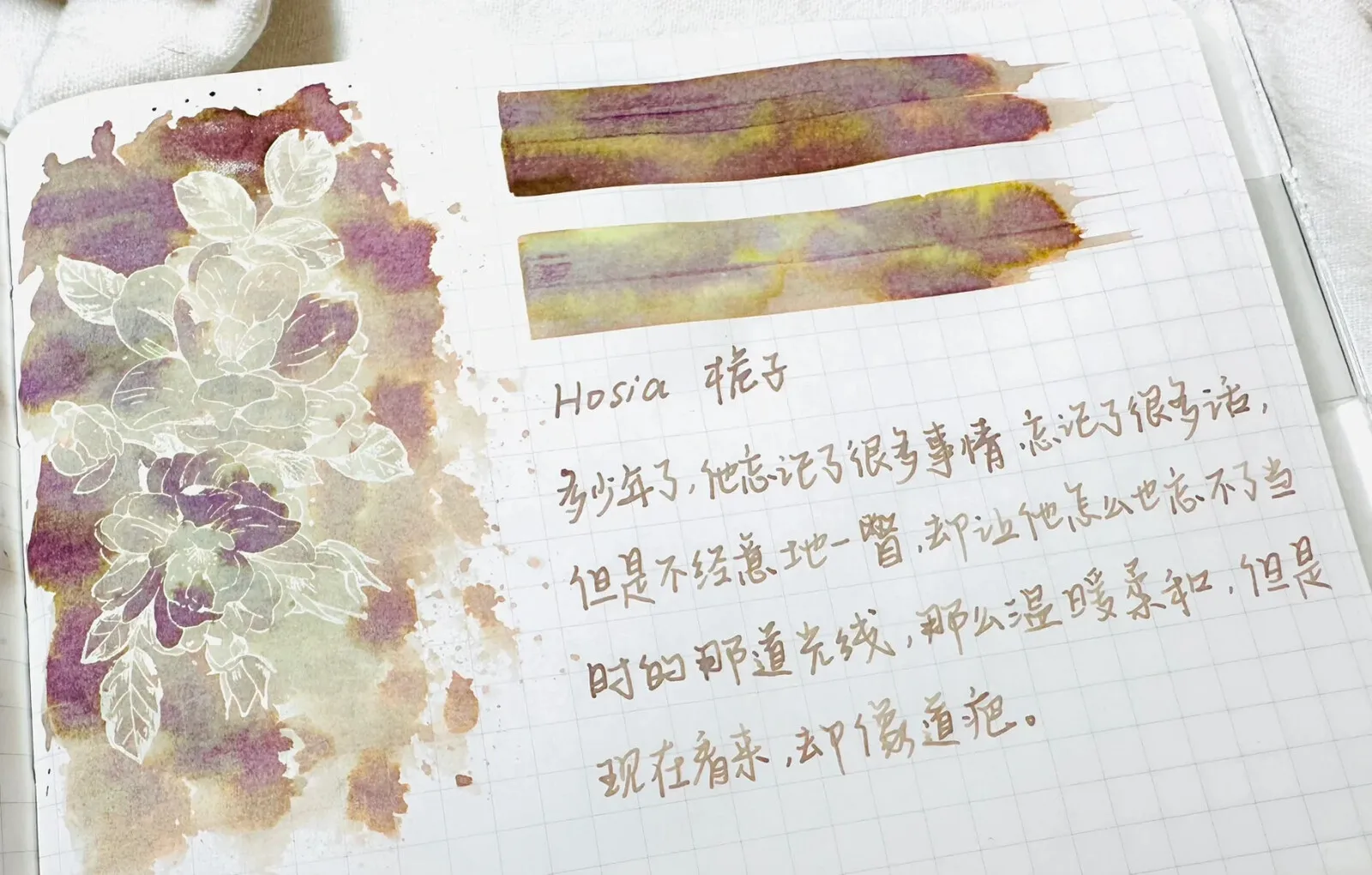 호시아 크로마토그래피 쓰기, 드로잉 잉크 30ml