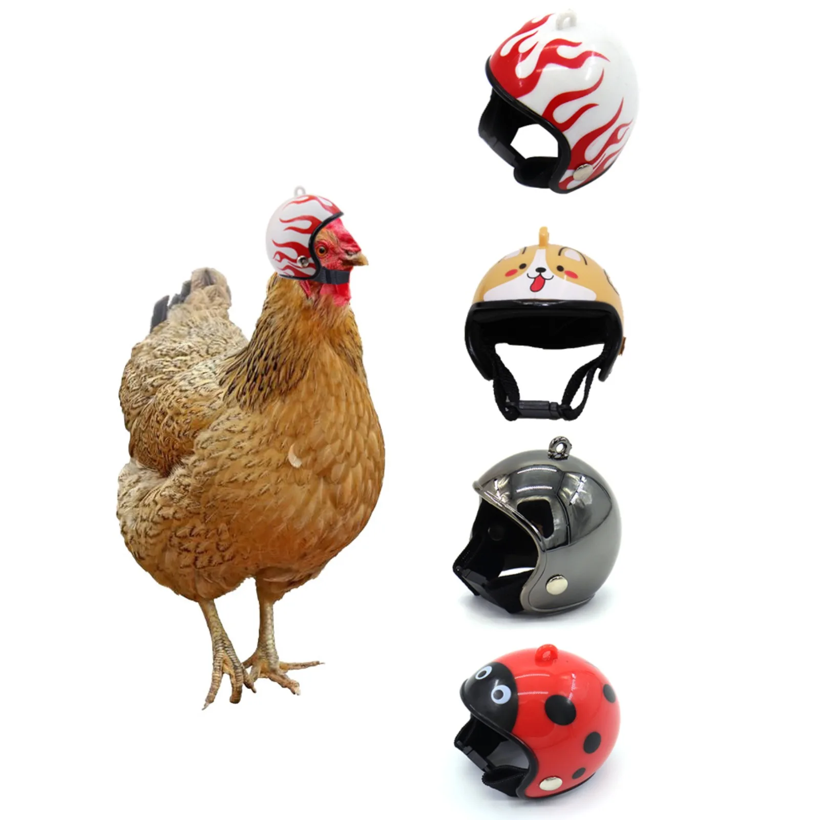 Hens-Helmet-Chicken-Helmet-Pet-Safety-Funny-Parrot-Chicken-Bird-Hat ...