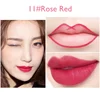 YALAIYI 13-colors Option Lip Liner Pencil Waterproof and Colorfast for Beginners Easy To Use Lip Liner Pen Lip Liners Foggy Matt 6