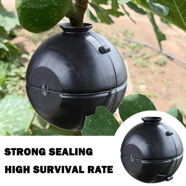 3/5/10Db Növény Gyökérgömb Szaporodási Gyökérzetű Gyökérzet Újrafelhasználható Növénygyökér -Termesztési Doboz Dugványok Oltó Gyökér Edények - Image 3