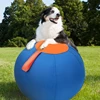 Interactively Dogs Outdoor Inflatable Ball Toy Molar Herding Ball Toy Durably Physical Activity Training Self Play Toy 2