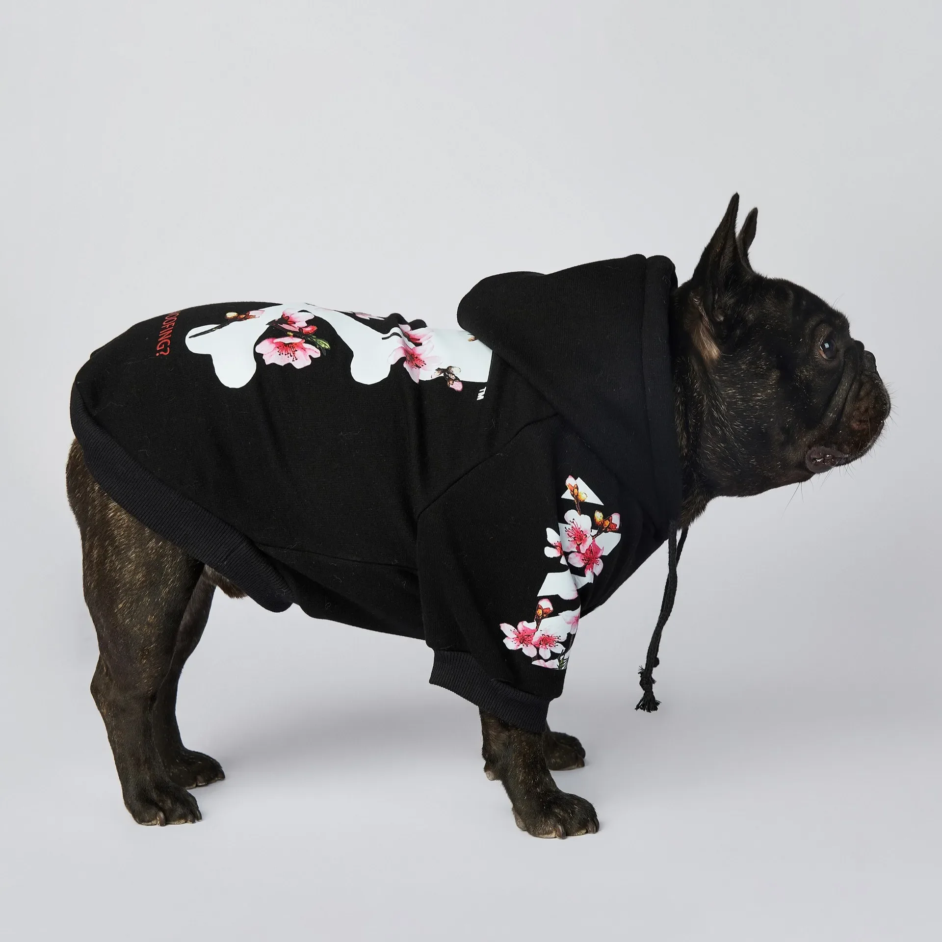 Pet Clothes NONOR Dog Clothes WOOF Fashion Sakura Dog Jacket Pet Hoodies Winter French Bulldog Pugs Sports Jacket M-4XL