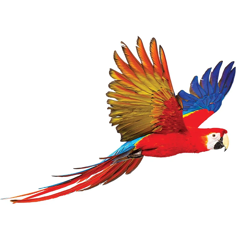 M423 Hand Painted Parrot Wall Sticker Bathroom Toilet Decor Living Room Cabinet Refrigerator Home Decoration Decals Sticker