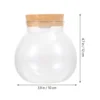 Micro Landscape Glass Bottle Vase Mouth Ball Moss Vase Hydroponic Terrarium Container Fish Tank Bottle With LED Light 6