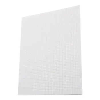 Quaderno a Quadretti Spessi da 40 Fogli, Layout Chiaro, Carta a Griglia Bifacciale, Blocco per Disegno Tecnico, Carta per Matematica e Disegno