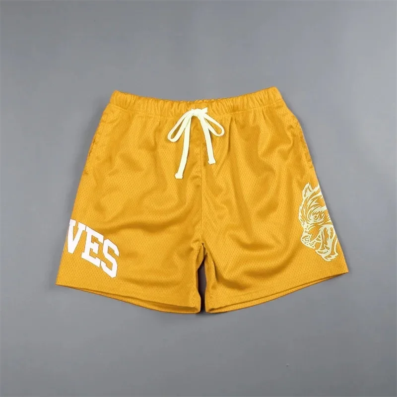 2024  Ʈ  ,   ƮϽ Ʈ̴ ݹ, ޽ ⼺ ݹ,  ġ 