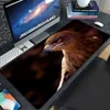 1pc Eagle Raptor Mouse Mat Desk Mat With Pad Gaming Accessories Prime Gaming XXL Keyboard Pad 5