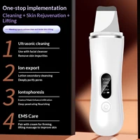 Skin Scrubber Spatula Type-C Charging Ultrasonic Face Clean Machine Ultrasonic Blackhead Peeling Shovel for Facial Lifting Clean 3