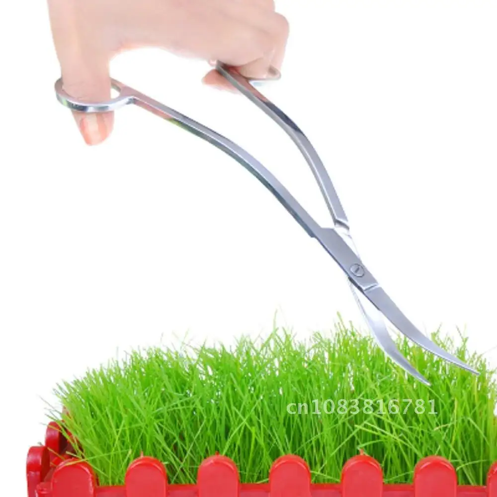 

Aquatic Aquarium Stainless Steel Plant Tank Wave Scissor Curved Water Grass Waterweed Clipper Clipping Clean Tool Tijera Tesoura