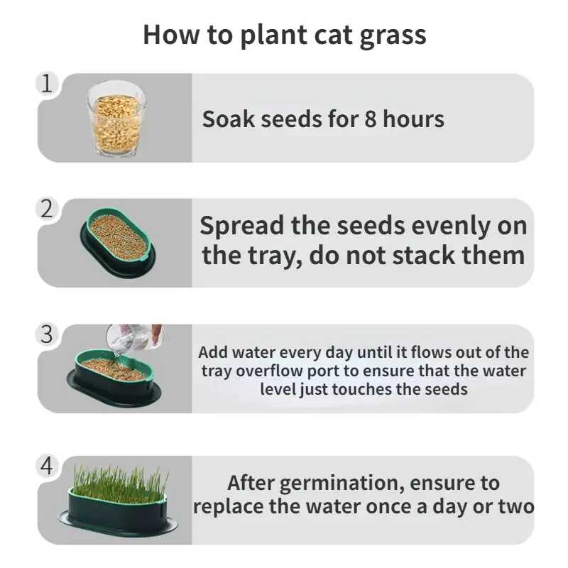 Hydroponic Plant Kits 1pc Cat Grass Hydroponic Box: Creative Pots for Super Beautiful Indoor/Outdoor Home Decor Garden Patio Hydroponics Growing Kit Hydroponic Garden Kit Sprout Growing Kit Hydroponic Plant Pots
