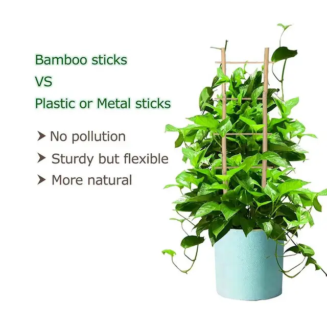 6Db Bambusznövénytámogató Rácsos Négyzet Természetes Mini Bambusz Növény Hegymászó Állvány Létra Csavarral - Image 5