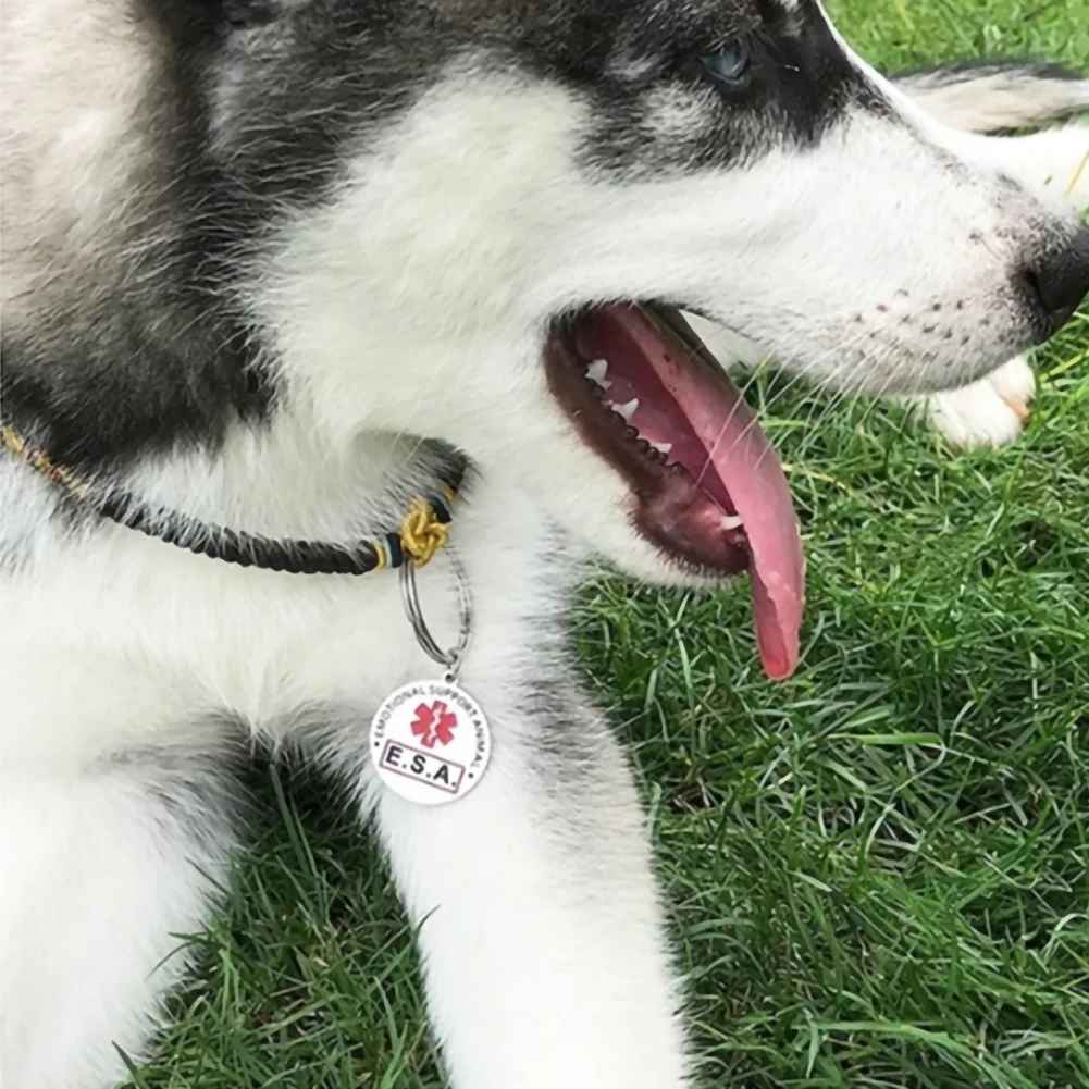 Dogs Cats Nameplate Anti-Lost Name Engraved ID Tags Personalized Creative Double-Sided Customized Pet Dog Collar Accessories