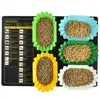 Snack Serving Display Tray Reusable Stable Large Capacity Coffee Bean Sample Cupping Tray for Dining Room 3