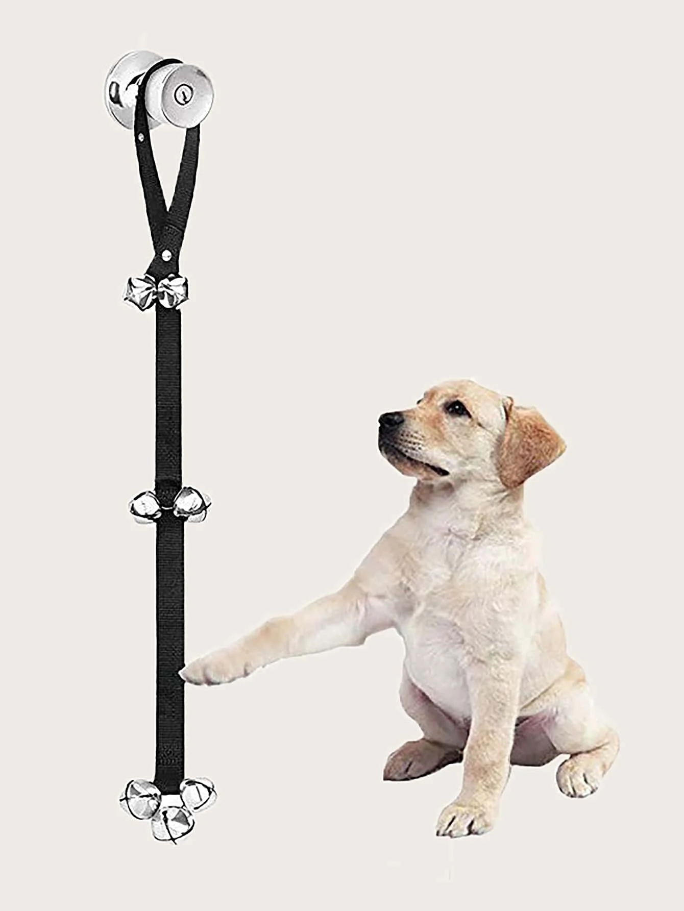 1pc-Dog bell for potty training, adjustable doorbell for dogs, small dog training potty bell for dogs